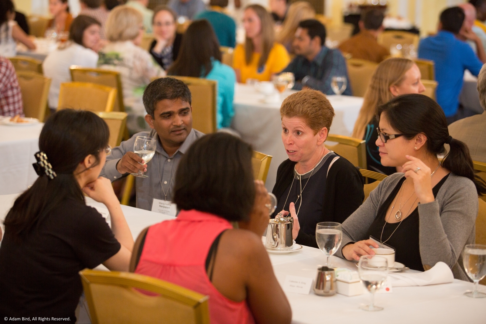 Dr. Jodi Anne Flaws (center) connects with trainees in a conversational setting at the 2014 Trainee-Mentor Luncheon. SSR is dedicated to the development of reproductive biologists in training.