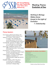 Meeting Flyer